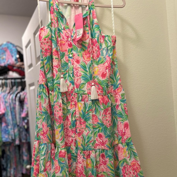 Lilly Pulitzer Other - Lilly Pulitzer Carolane dress
